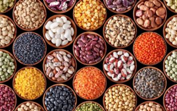 Seeds & Oilseeds